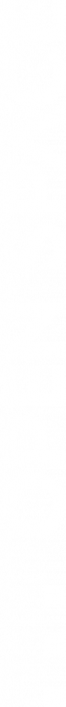 logo-NT-97x1024